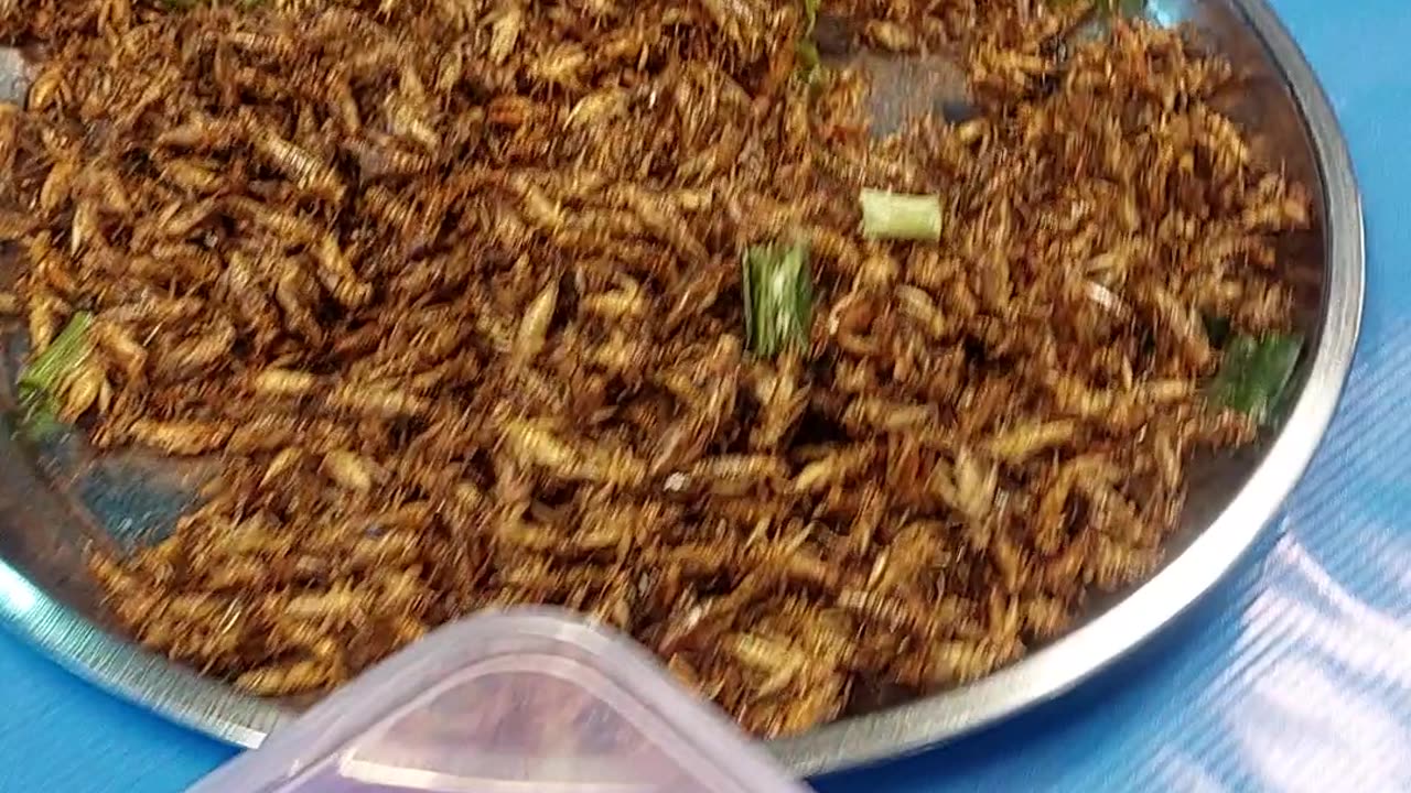 Insects for food, Asian street food