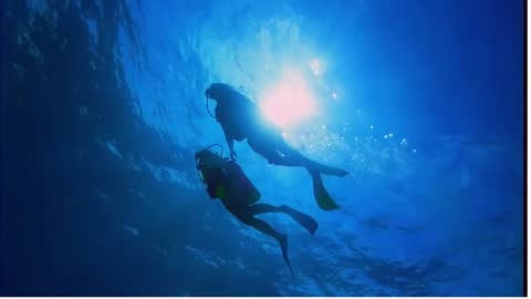 underwater diving and expose the nature of water