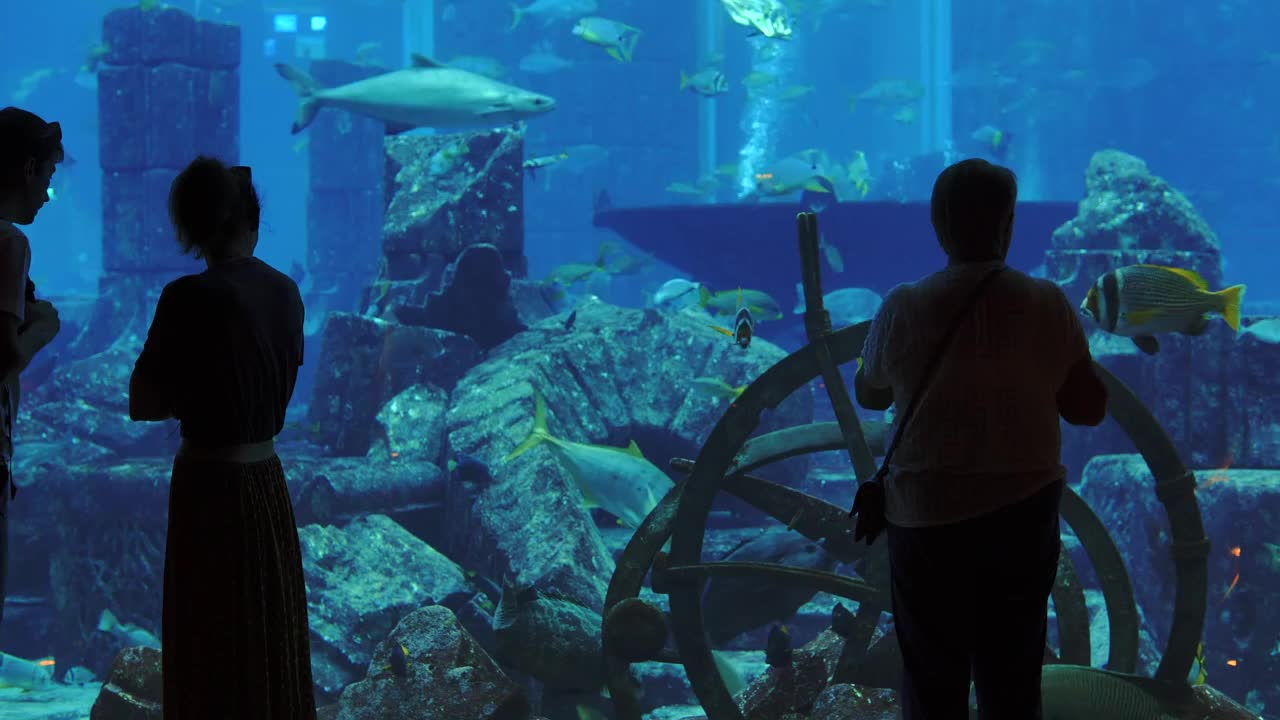 Back view of a tourists walking inside the Dubai aquarium