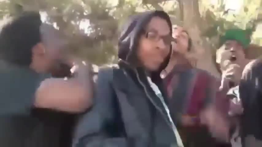 Funny video