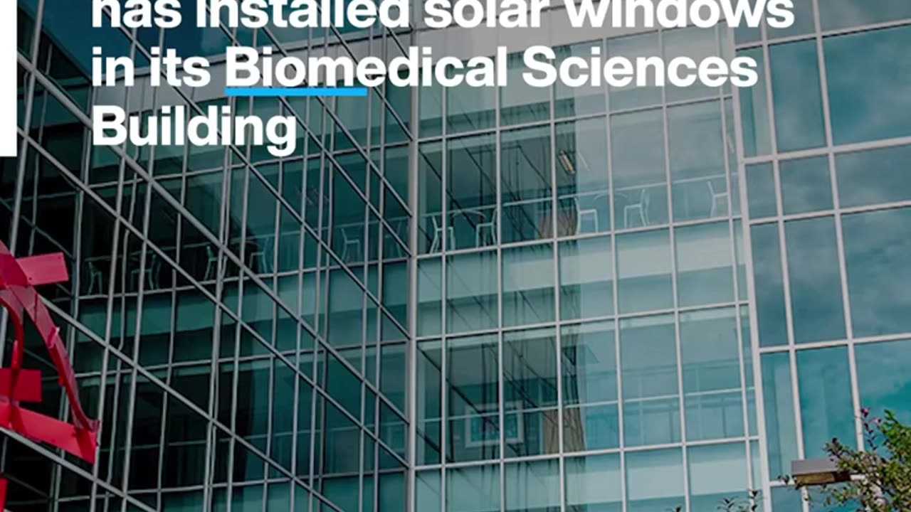 These windows are actually transparent solar panels