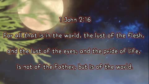 Bible Study Video 08.