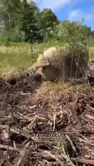 Educational Purposes Only..!