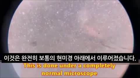 [펌] [★산화그래핀] [Creation] 백신 내용물 실시간 현미경 촬영- 백신 속 물질들이 자가 조립되는 모습 포착