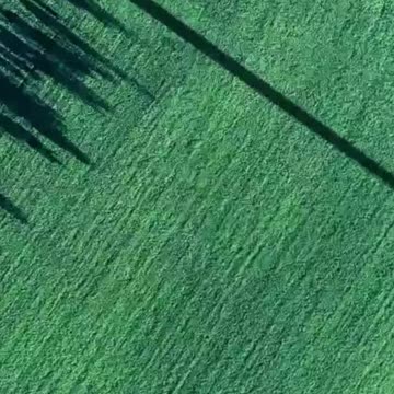 Your brain can be your biggest ally #shorts #facts #psychologyfacts