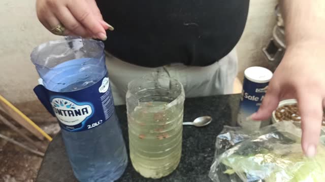 How to Make Green Water for Fish Fry