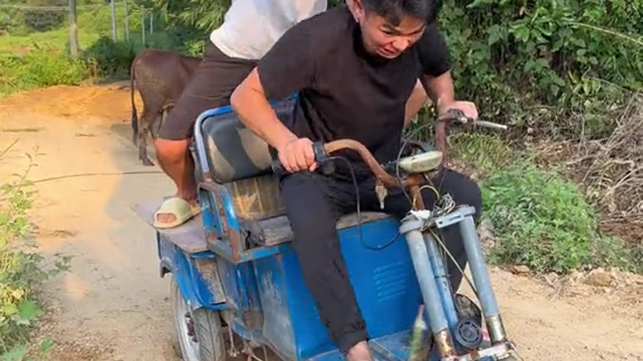 Funny video
