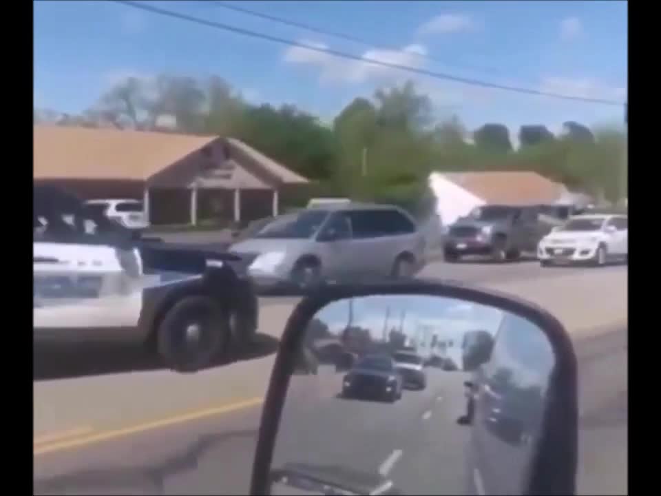 Cops chasing a Cow for straight 27 seconds