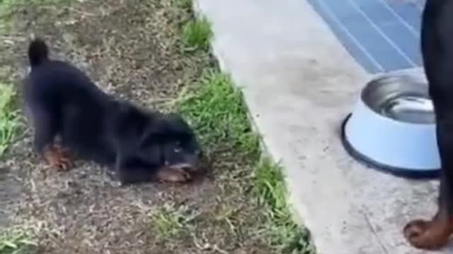 .wow ... from tiktok @sunny_o01 #shorts