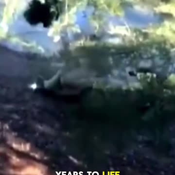 3070 was supposed to stop Hate in the courtroom, it accom...