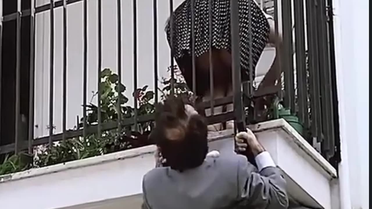 funny clip