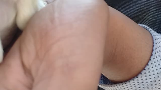 Cute puppy tail 😍 💙