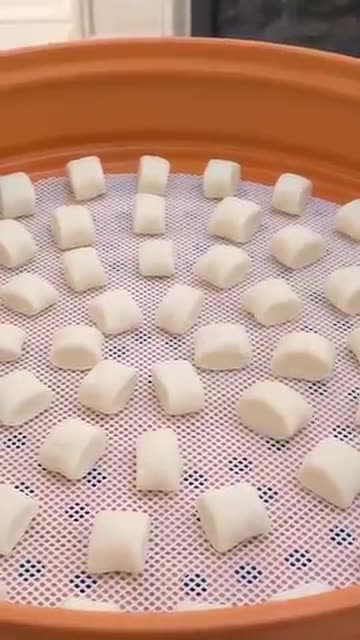 Cute cats cooking videos