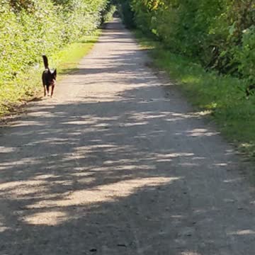 Wild goose nature trail