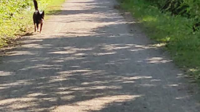 Wild goose nature trail
