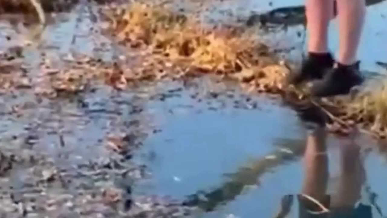 The end 😂😂😂 #viral #shorts #reels #fails #funny #fail