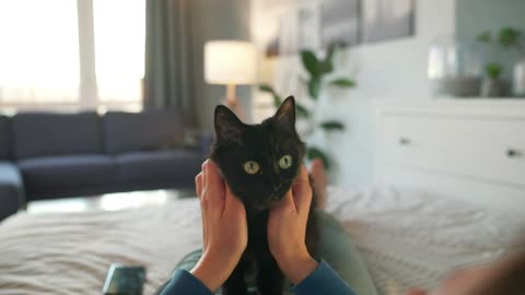 Woman is stroking a black cat lying on the bed in a cozy room