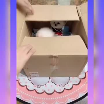 Cute Baby Dogs-Lindos perritos bebes #43 #SHORT VIDEO ❤️