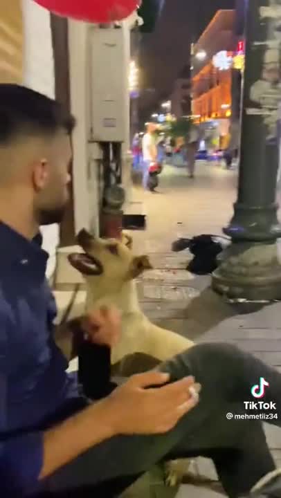 A Dog playing with a Ballon | Most lovely Viral video on internet