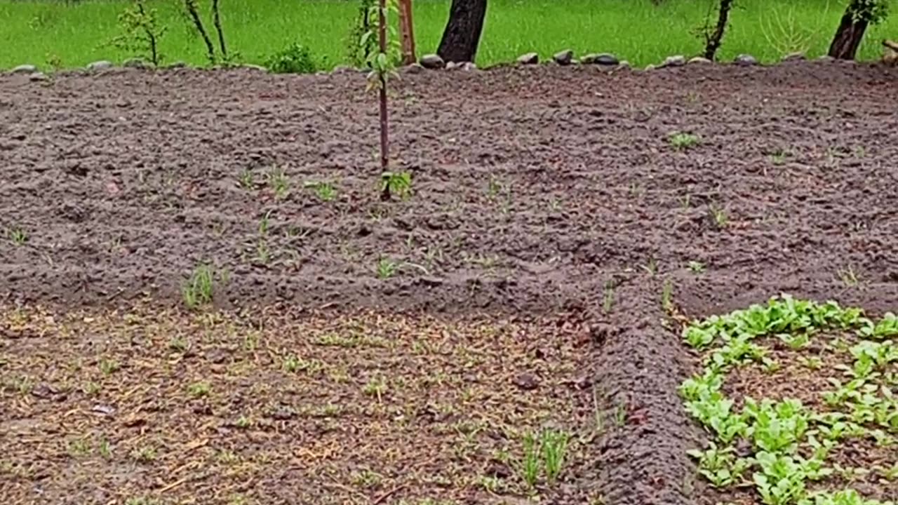 Rainy season of Pakistan