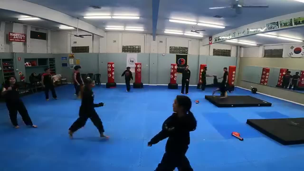 Hapkido