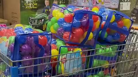 Building a Puppy Ball Pit! #cat #cute #kitten #pets #meow #videos #shorts #dog