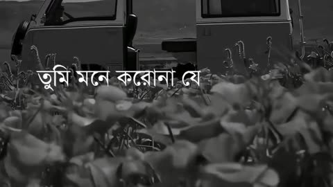Mahabub Hasan Faysal