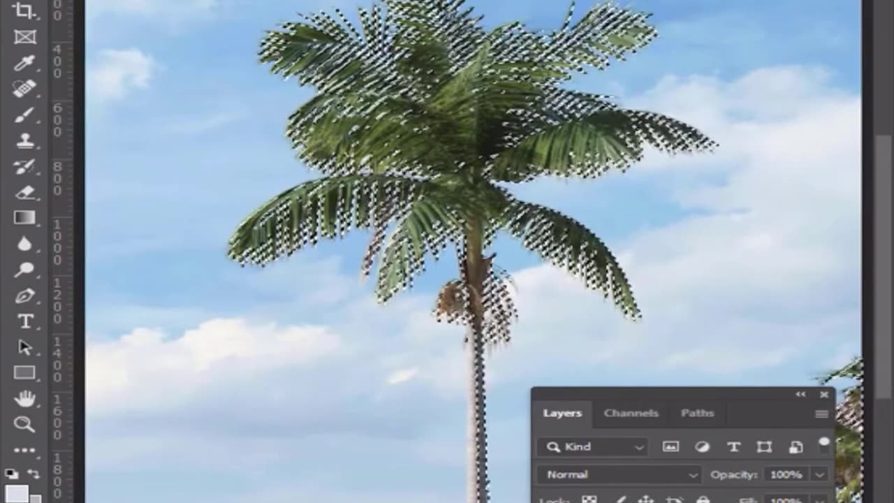 How to Extract Object from Image in Photoshop