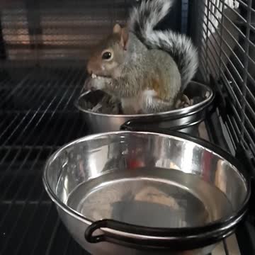 Lunch time with Fphill