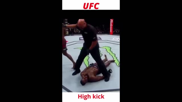 High kick knockout | ufc mma kickboxing muai thai