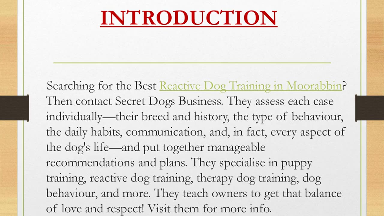 Reactive Dog Training in Moorabbin