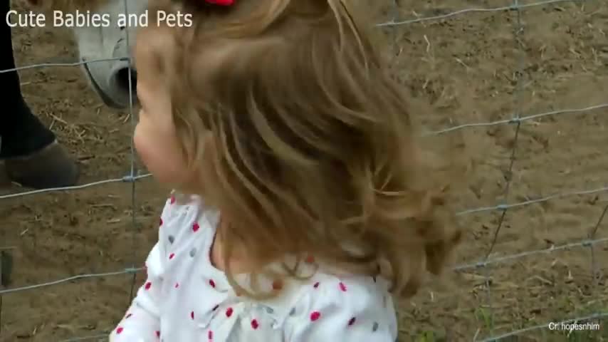 Cute Babies with Horses | Funny Animals Complications 2021