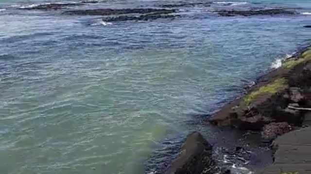 Strange Tides After the 6.9 Earthquake in Hawaii