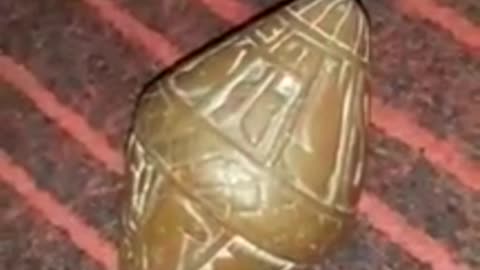 Something maybe hidden from us for years?