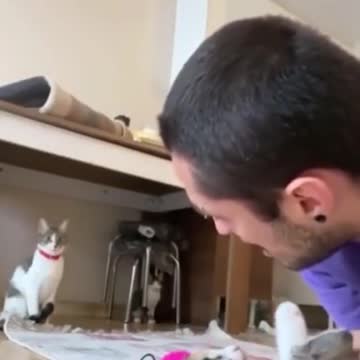 funny|prank|jokes|funny jokes|dad jokes|funny memes|funny video|fun|laughing|funny animal|knock