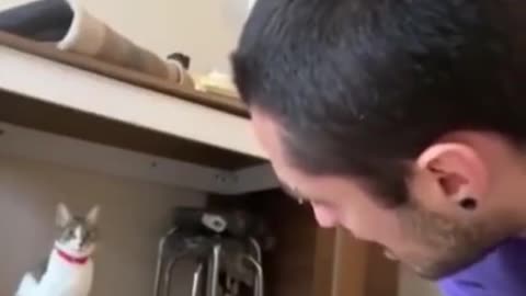 funny|prank|jokes|funny jokes|dad jokes|funny memes|funny video|fun|laughing|funny animal|knock