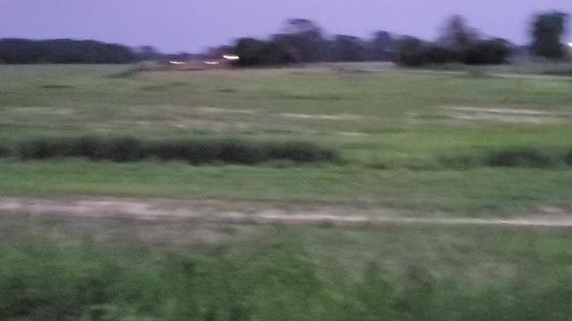 Aliens or what?