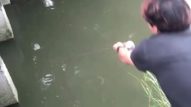 Amazing fish catching in river, cat fish or dakar fish catching, yytv