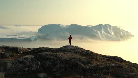What Just Appeared in Antarctica