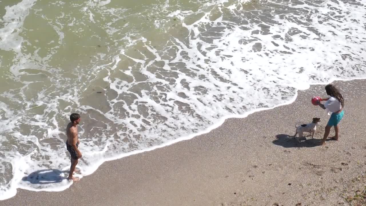 Couple Playing With Dog At Beach