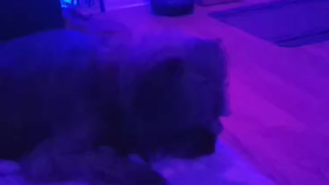 Birthday review