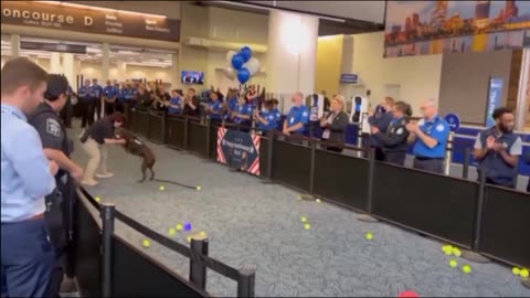 Dog Retirement Surprise🐕‍🦺