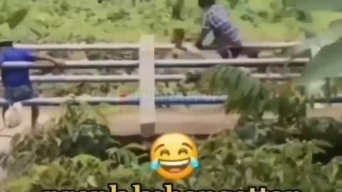 video-lucu