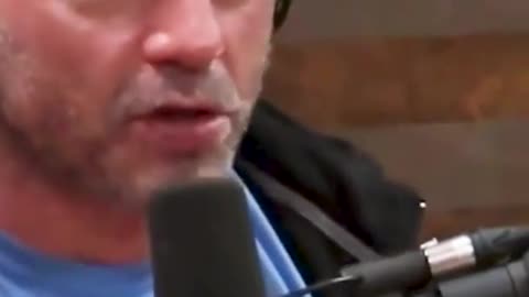 Joe Rogan on Diverse Community