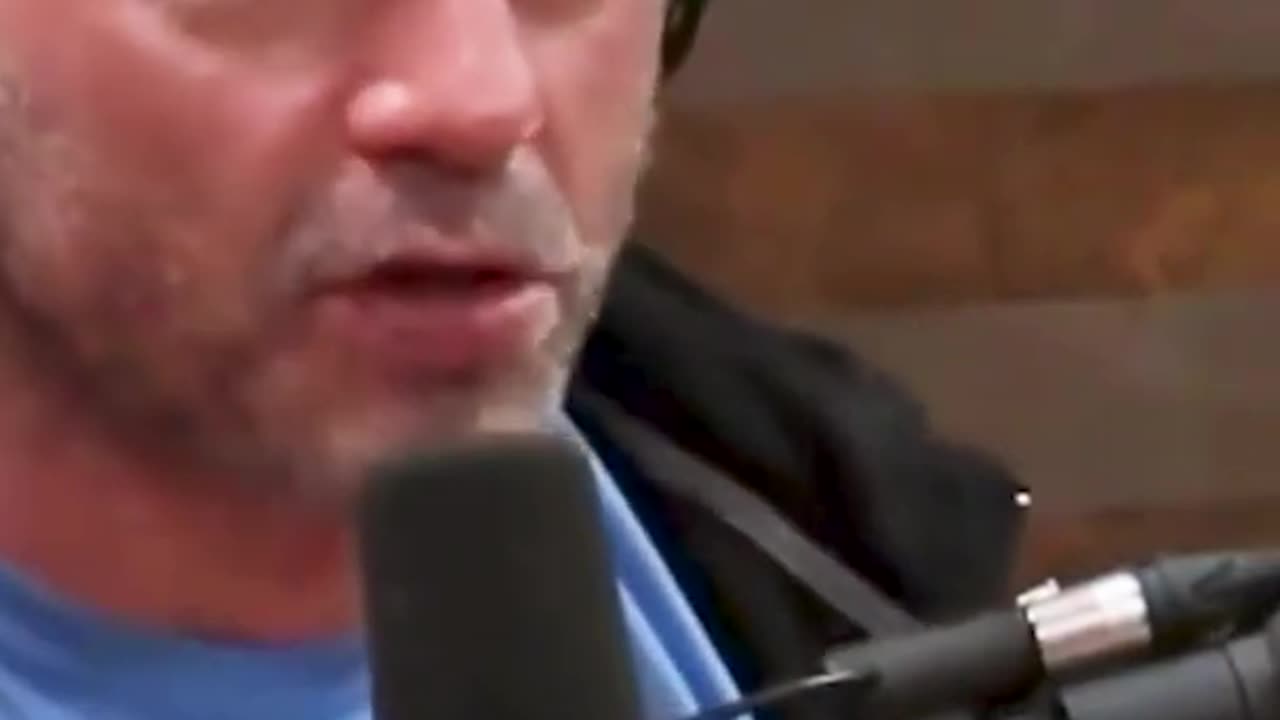 Joe Rogan on Diverse Community