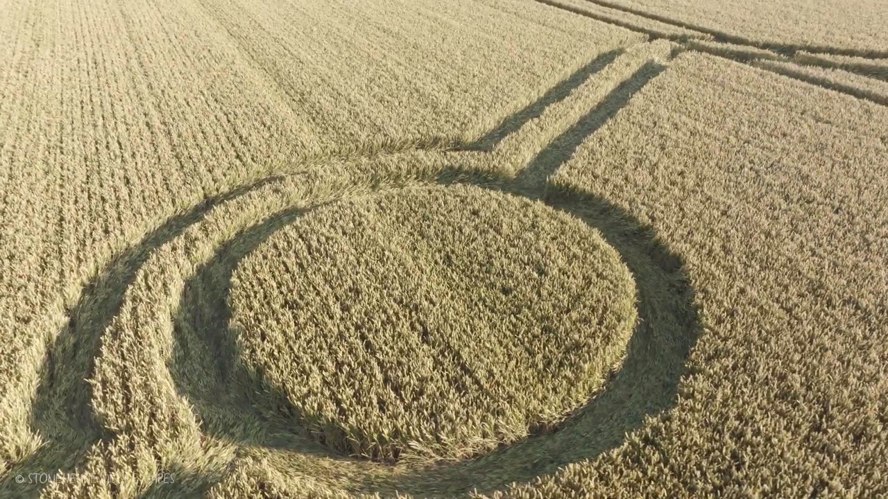 Crop Circle Normanton Down Barrows Wiltshire 14 07 24