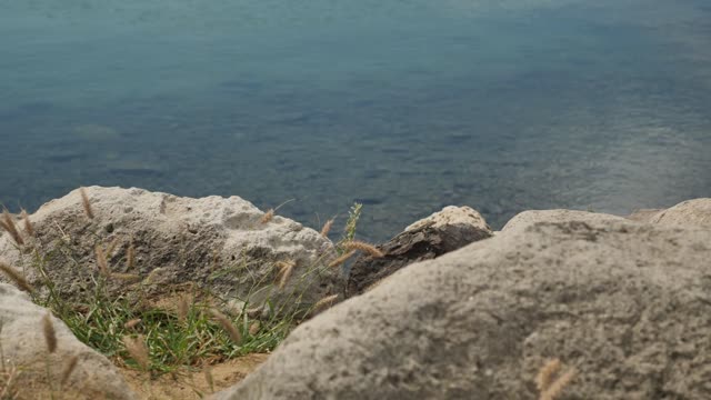 Coast in Porto Santo