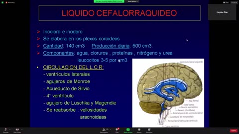 Clase 8.1 PRATICO Clase 1 - Generalidades _ Medula Espinal _ Meninges - 27_07_2021