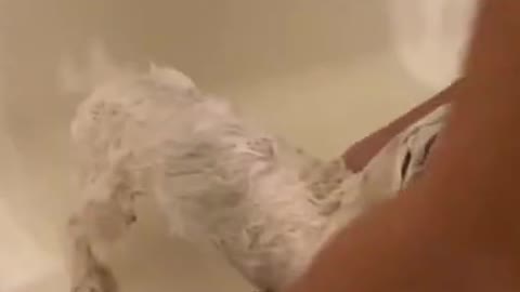 1.Callie got a bath!!