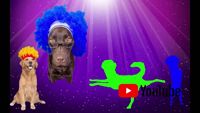 My Name Is D Billions, a funny version for dogs - parody colorful